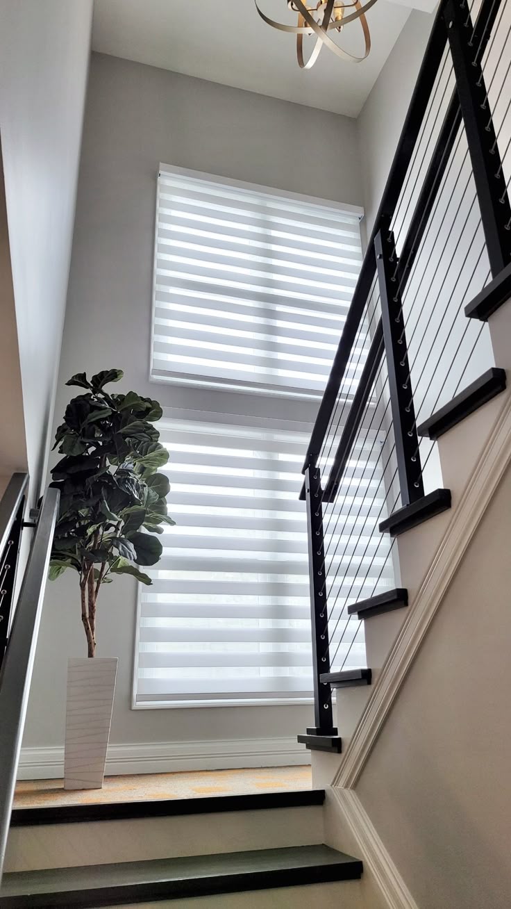 roller shades blinds